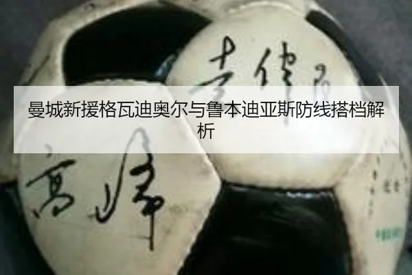 曼城新援格瓦迪奥尔与鲁本迪亚斯防线搭档解析